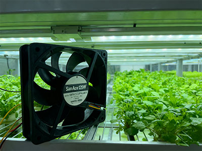 山洋San Ace散熱風(fēng)扇9WPA1212P4J001在植物工廠冷藏保鮮設(shè)備的應(yīng)用圖